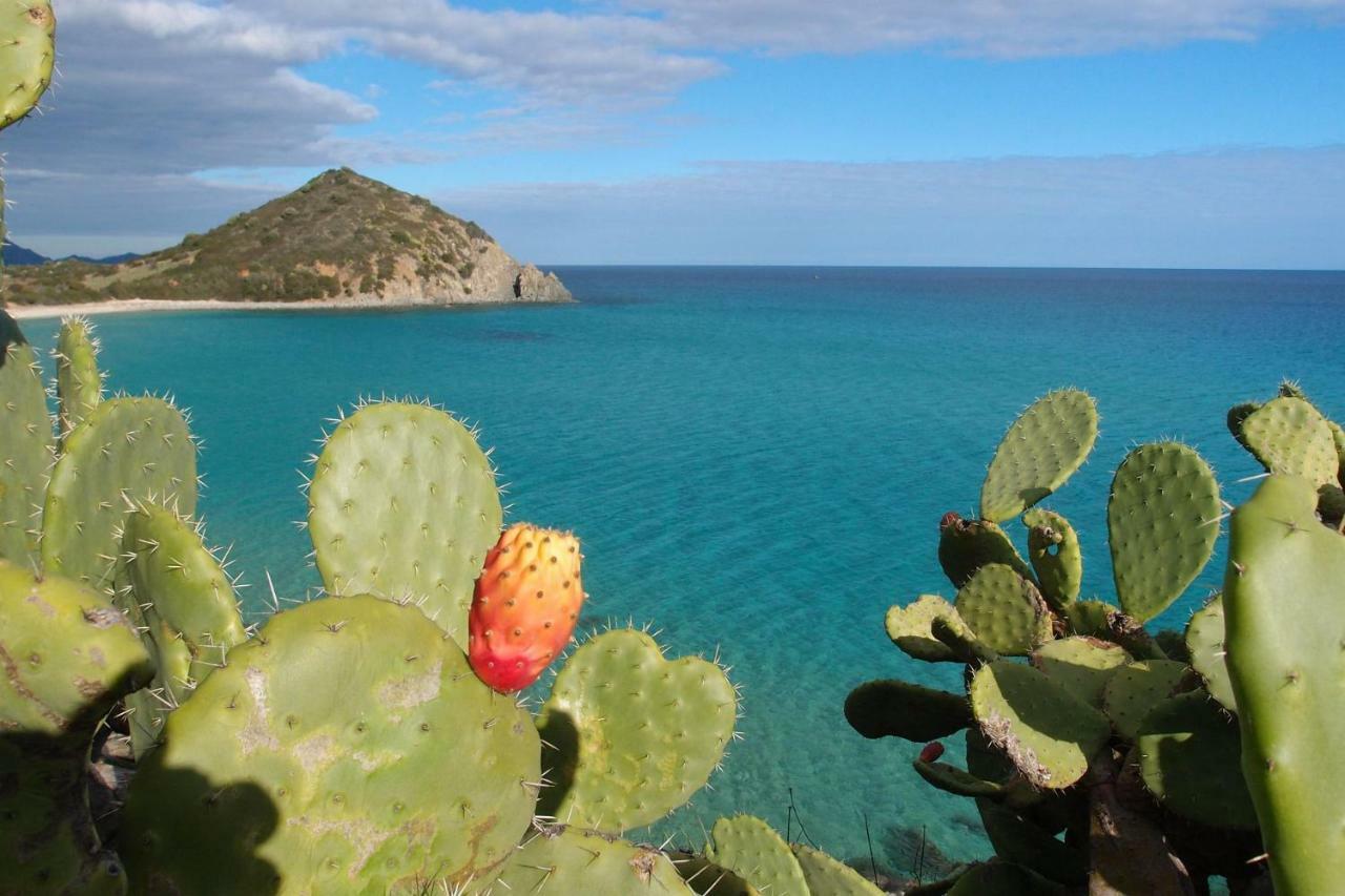 Casa Casciu La Collina Sul Mare Villa Costa Rei Dış mekan fotoğraf